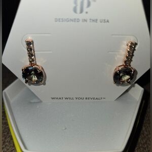NEW RBP A CLASSIC MOMENT EARRINGS